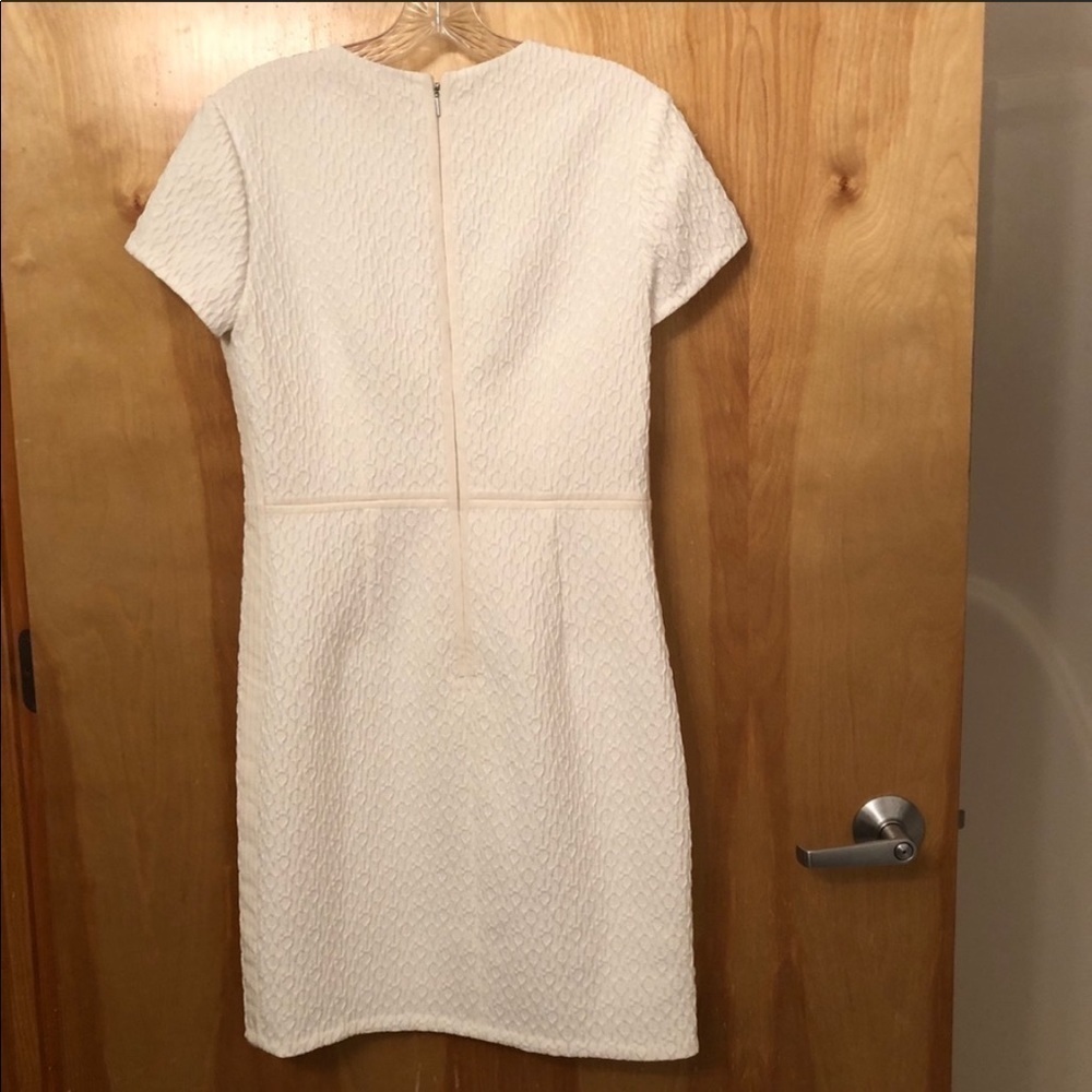 Rebecca Taylor Dia Lace Sheath Dress Ivory Textured Short Sleeve Size 6 - Picture 4 of 7